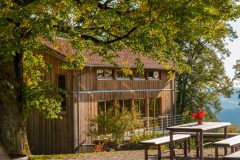 herbst, linde, atelierhaus,